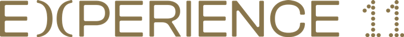 EXPERIENCE 11